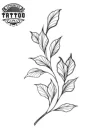 tatouage-temporaires-avant-bras-artisé-verdure-esquisse-naturelle tatouage-temporaires-avant-bras-artisé-verdure-esquisse-naturelle