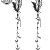 tatouage-temporaire-côté-plume-sophistiquée-pour-un-look-raffiné tatouage-temporaire-côté-plume-sophistiquée-pour-un-look-raffiné
