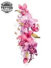 tatouage-temporaire-orchidee-pour-jambe-design-fleur-passagere tatouage-temporaire-orchidee-pour-jambe-design-fleur-passagere