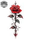 tatouage-temporaire-mollet-femme-fleur-rose-fin