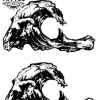 tatouage-ephemere-hanche-vague-mer-style tatouage-ephemere-hanche-vague-mer-style