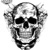 tatouage-temporaire-crane-pour-cou-résistant-et-elegant