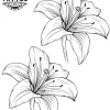 tatouage-temporaire-membre-orchidee-tendance-et-raffine tatouage-temporaire-membre-orchidee-tendance-et-raffine