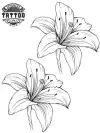 tatouage-temporaire-membre-orchidee-tendance-et-raffine tatouage-temporaire-membre-orchidee-tendance-et-raffine