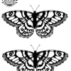 tatouage-temporaire-main-insecte-gracieux-et-à-la-mode tatouage-temporaire-main-insecte-gracieux-et-à-la-mode