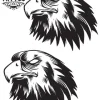 tatouage-temporaire-oiseau-main-design-aigle-pour-main tatouage-temporaire-oiseau-main-design-aigle-pour-main