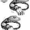 decalcomanie-temporaire-salamandre-cheville-persistante-et-elegante decalcomanie-temporaire-salamandre-cheville-persistante-et-elegante