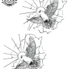 tatouage-temporisé-main-oiseau-symbolique-authentique tatouage-temporisé-main-oiseau-symbolique-authentique
