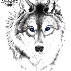 tatouage-ephemere-tete-de-loup-aux-yeux-bleus-elegant-temporaire tatouage-ephemere-tete-de-loup-aux-yeux-bleus-elegant-temporaire
