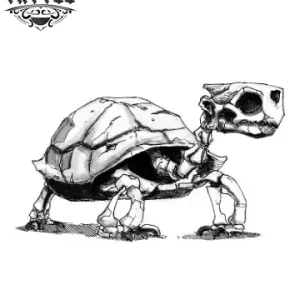 tatouage ephemere tete de mort tortue design unique tatouage ephemere tete de mort tortue design unique