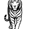 Tatouage Tigre Rugissant Tribal Tatouage Tigre Rugissant Tribal