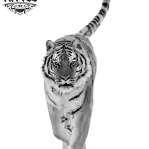 tatouage-tigre-ephemere-noir-blanc-realiste-allure-sauvage tatouage-tigre-ephemere-noir-blanc-realiste-allure-sauvage