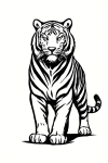 Tatouage Tigre Tribal Majestueux Tatouage Tigre Tribal Majestueux
