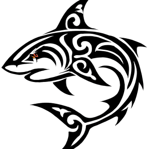 Tatouage tribal requin percutant tatouage-tribal-requin-percutant